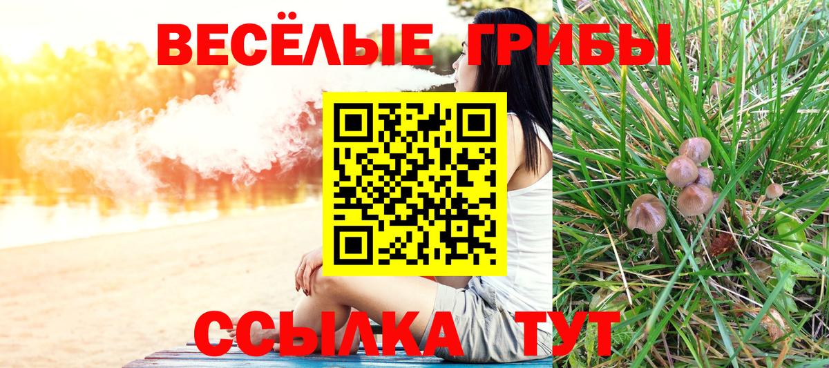 Псилоцибиновые грибы ЛСД Урюпинск