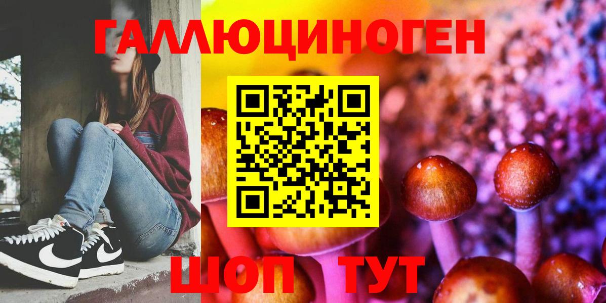 Псилоцибиновые грибы GOLDEN TEACHER  Вход с VPN  Урюпинск  наркотики  Галлюциногенные грибы GOLDEN TEACHER 